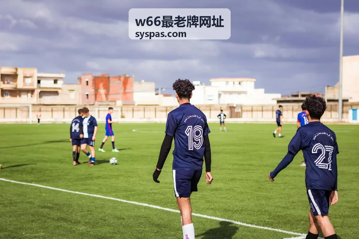 w66最老牌网址 操作流程演示图