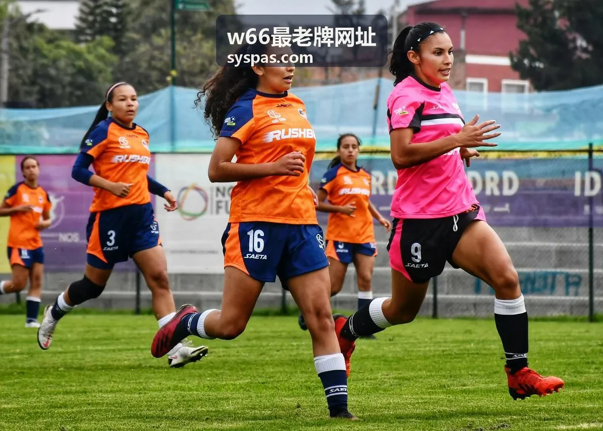 w66最老牌网址 安全访问官方入口提醒