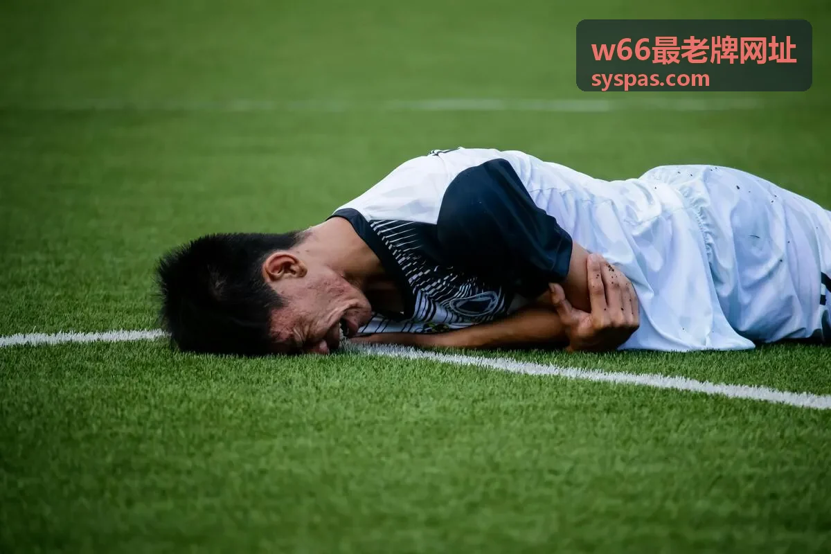 w66最老牌网址 页面服务体验升级通知